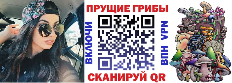 Псилоцибиновые грибы GOLDEN TEACHER  OMG ссылки  площадка наркотические препараты  Ревда 