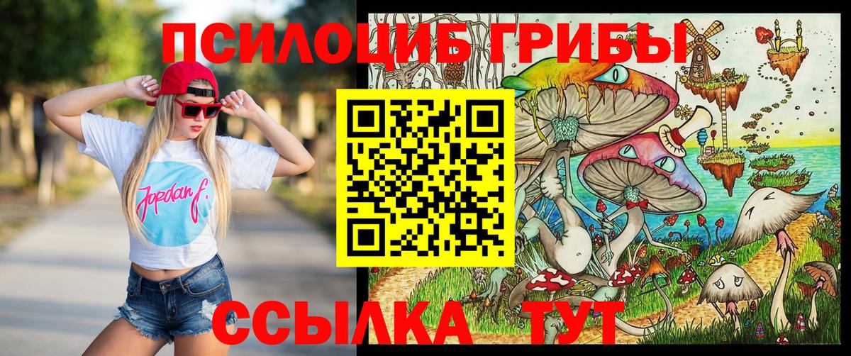 Галлюциногенные грибы Psilocybine cubensis Ревда