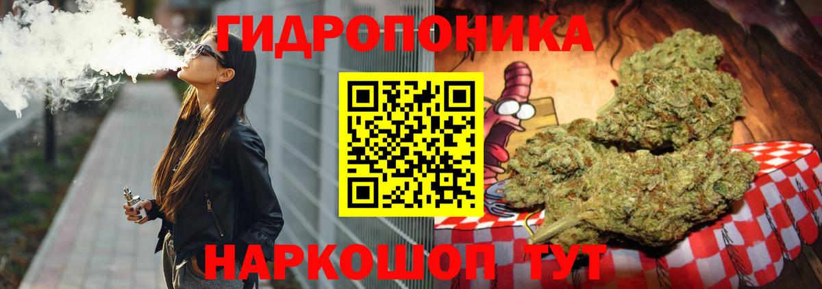 Конопля White Widow  Шишки марихуана план  Вход с VPN  Ревда 